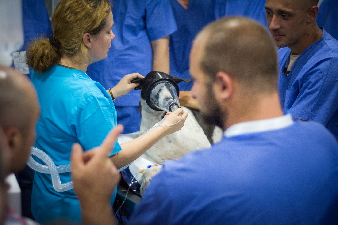 workshop-anestezie-2019 (10)