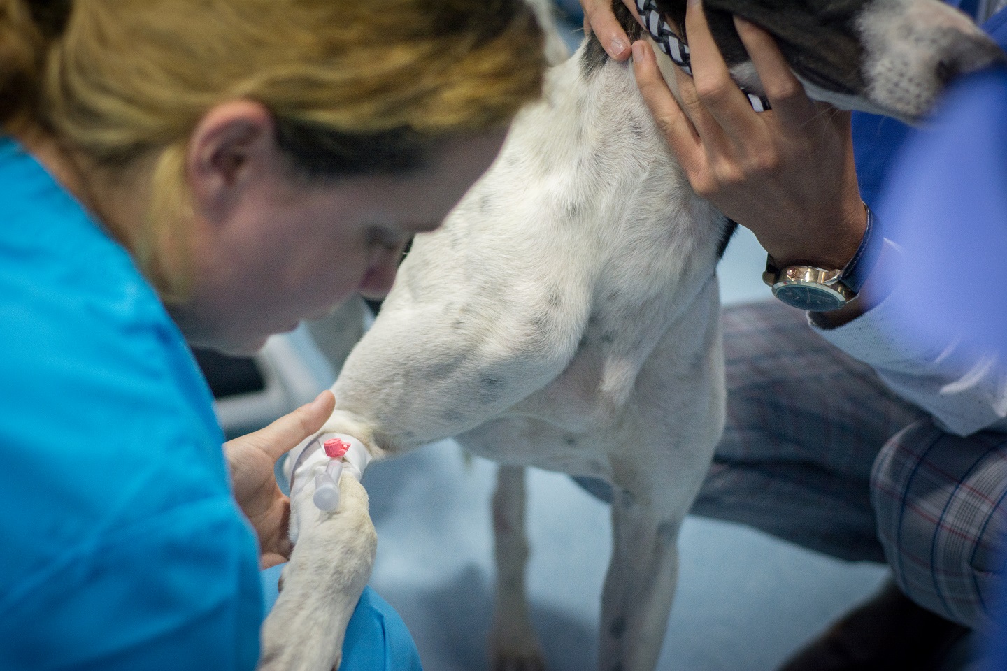 workshop-anestezie-2019 (6)