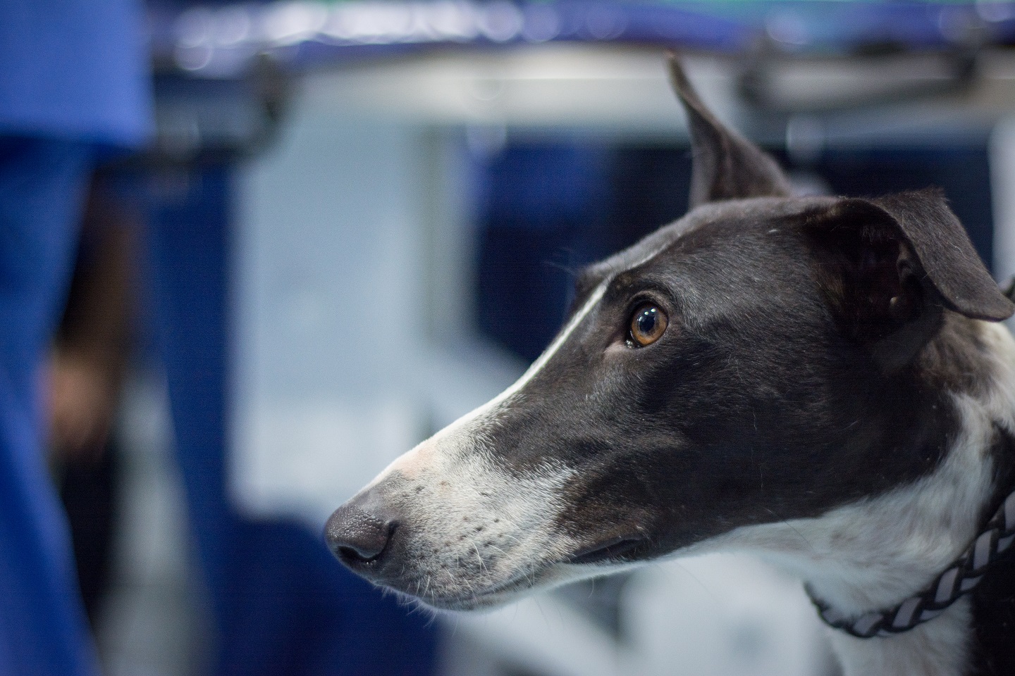 workshop-anestezie-2019 (7)