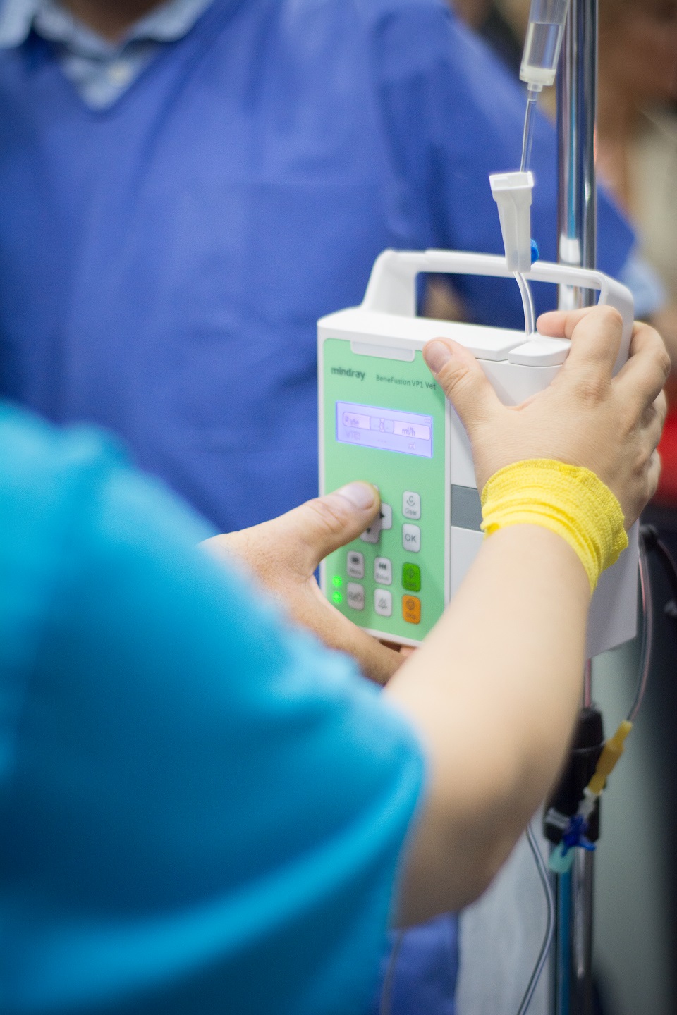 workshop-anestezie-2019 (8)