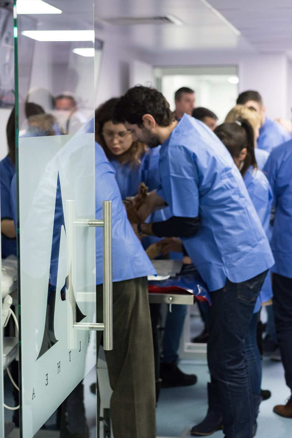 workshop_ecografie_2019 (3)