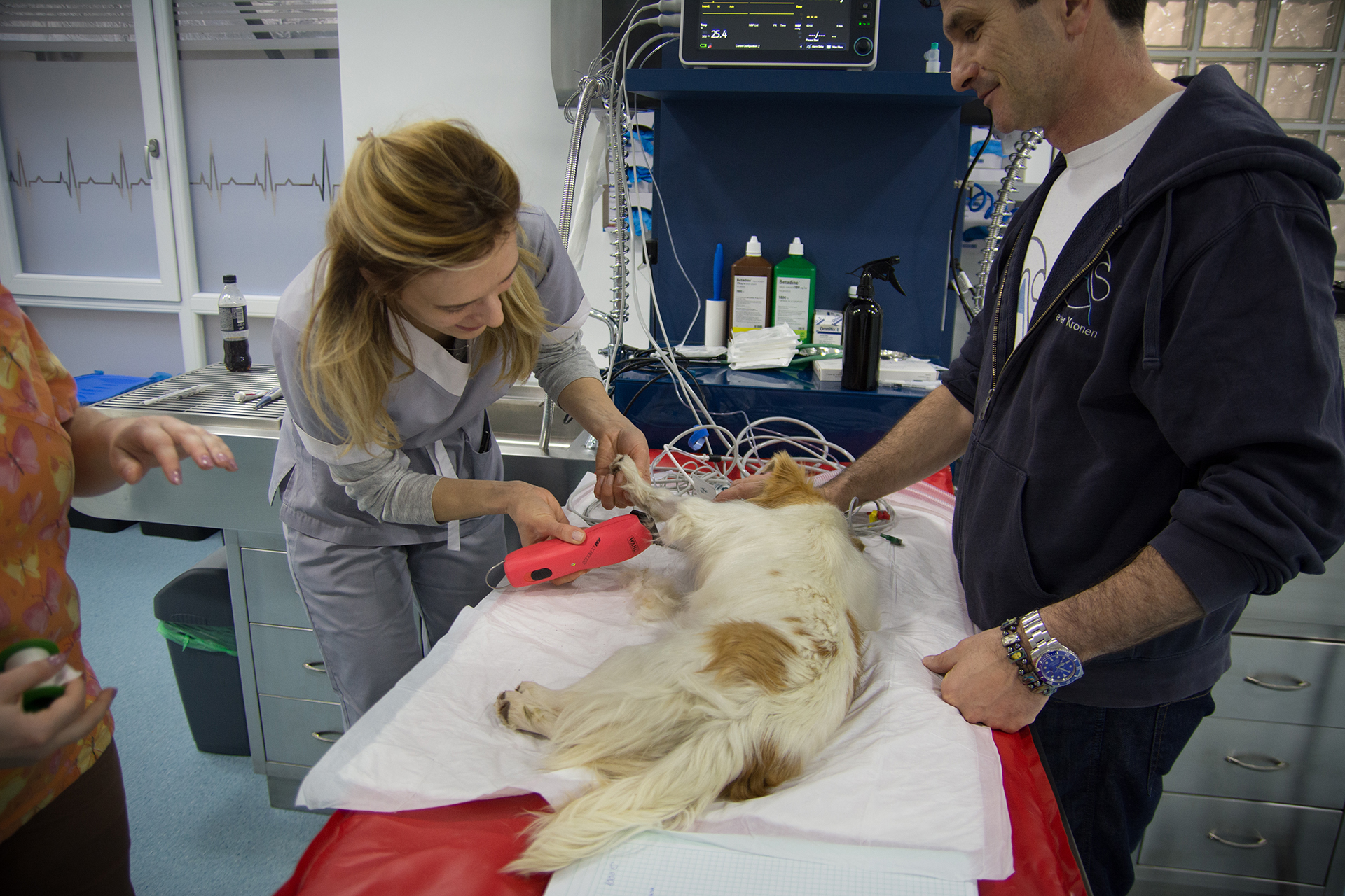 workshop_vasta_2020_11