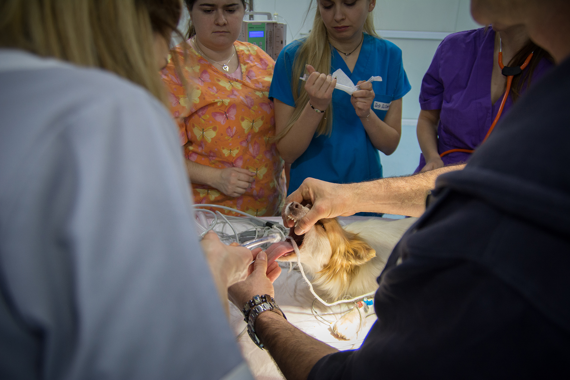 workshop_vasta_2020_13