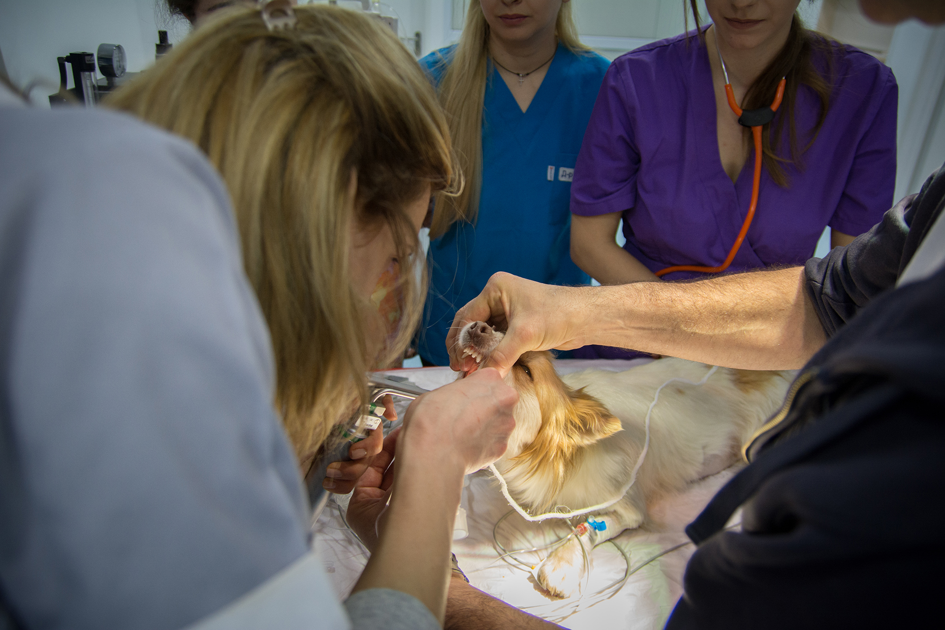 workshop_vasta_2020_14