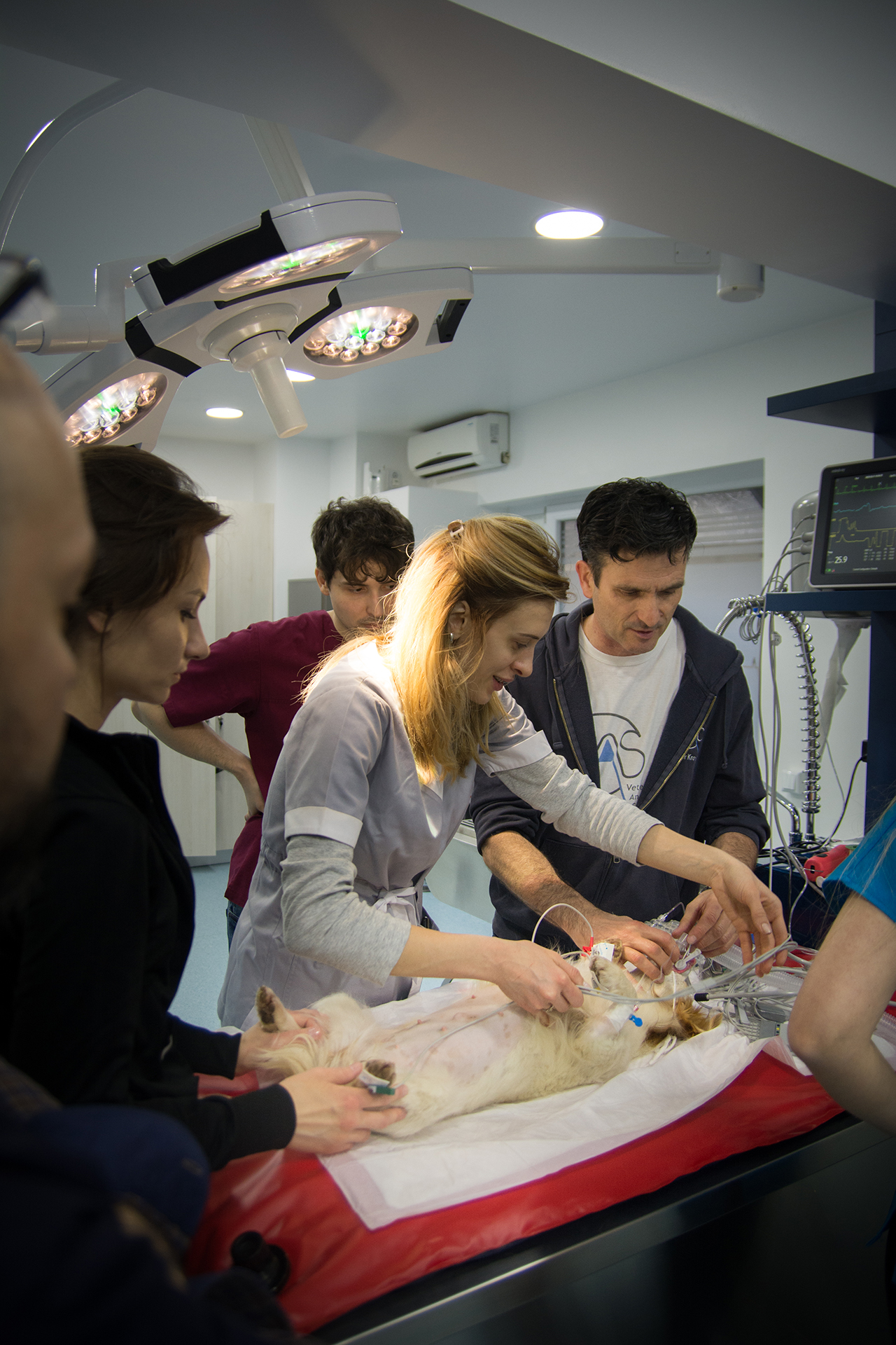 workshop_vasta_2020_15